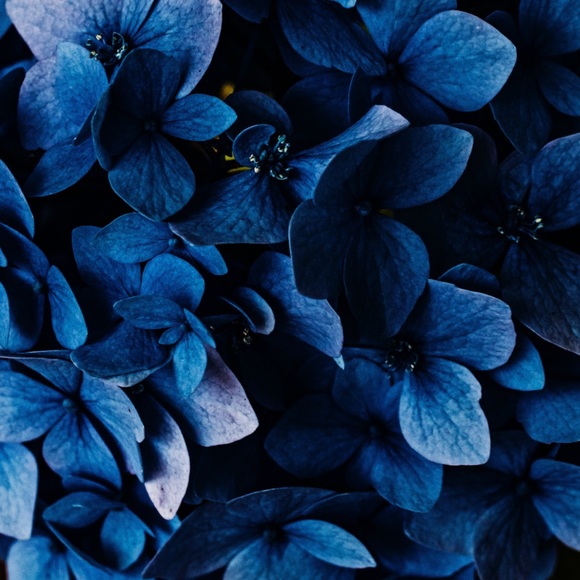 NFS - Picture 2 of 3